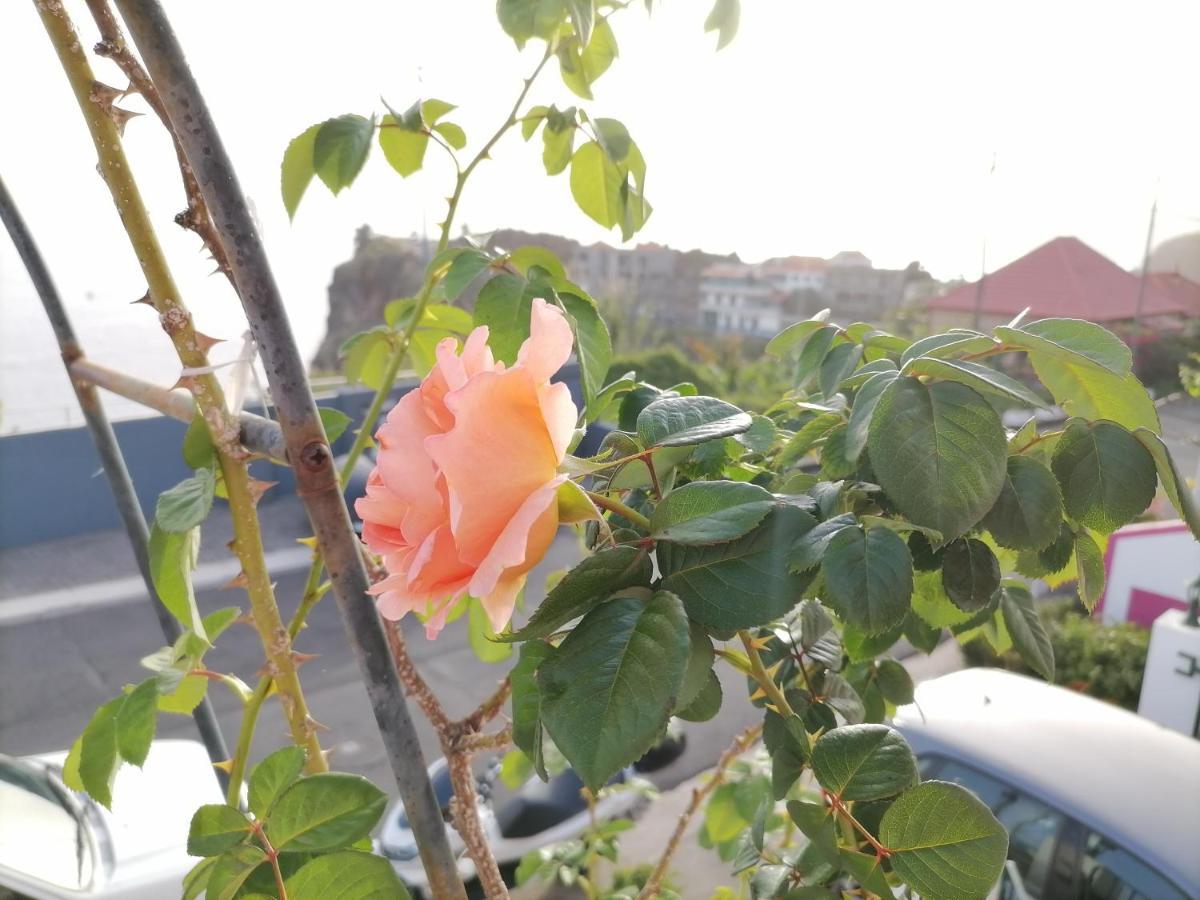 Westerland House 리베이라브라바 외부 사진